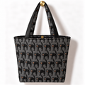 Scaredy Cat